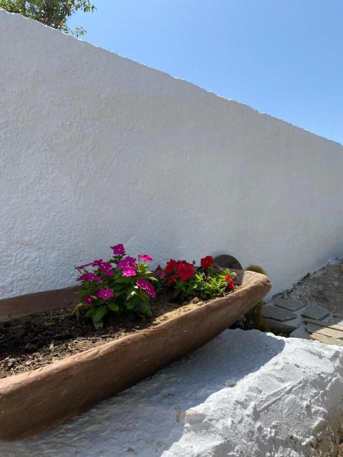 Blue Pearl Apartment Glinado Naxos Extérieur photo