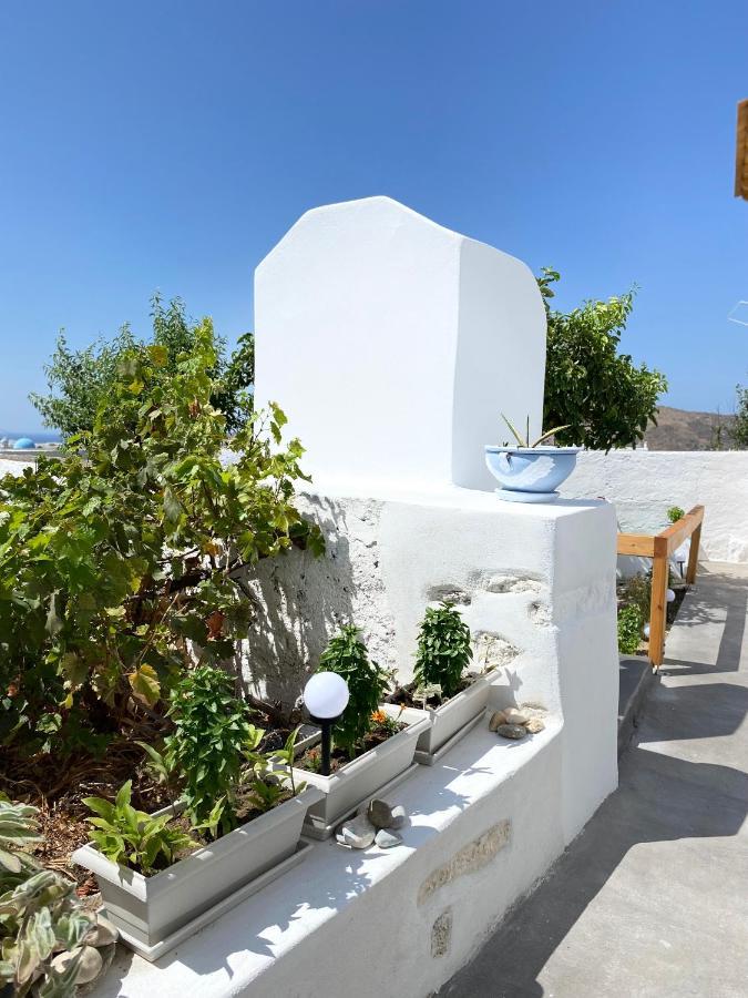 Blue Pearl Apartment Glinado Naxos Extérieur photo