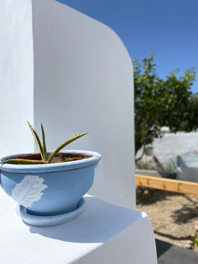 Blue Pearl Apartment Glinado Naxos Extérieur photo