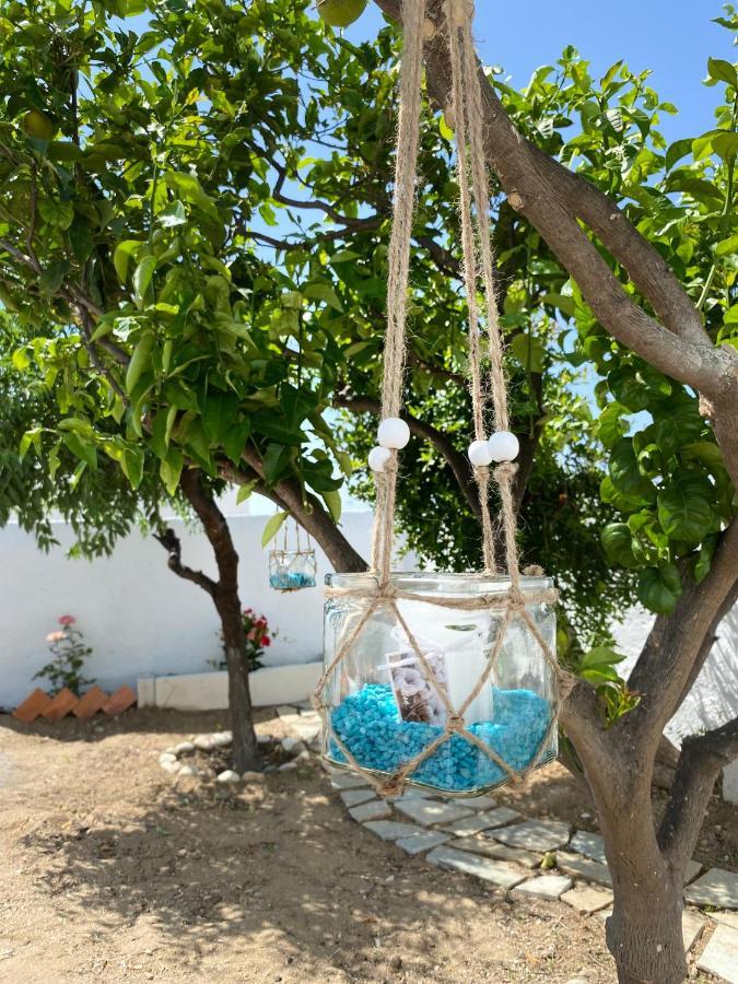 Blue Pearl Apartment Glinado Naxos Extérieur photo